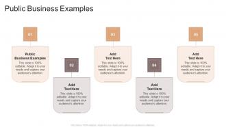 Public Business Examples In Powerpoint And Google Slides Cpb