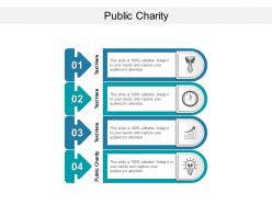 Public charity ppt powerpoint presentation show example cpb