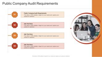 Public Company Audit Requirements In Powerpoint And Google Slides Cpb