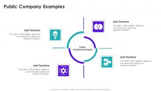 Public Company Examples In Powerpoint And Google Slides Cpb