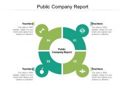 Public company report ppt powerpoint presentation infographics gallery cpb