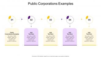 Public Corporations Examples In Powerpoint And Google Slides Cpb