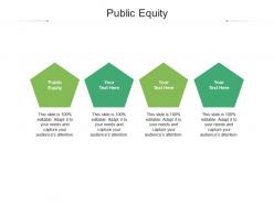 Public equity ppt powerpoint presentation infographics layout cpb