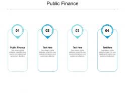 Public finance ppt powerpoint presentation gallery example cpb