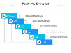 Public key encryption ppt powerpoint presentation summary ideas cpb