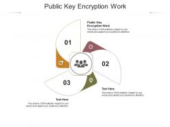 Public key encryption work ppt powerpoint presentation ideas cpb