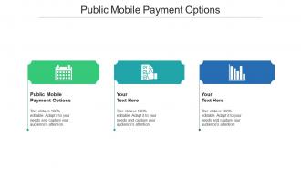 Public mobile payment options ppt powerpoint presentation ideas influencers cpb