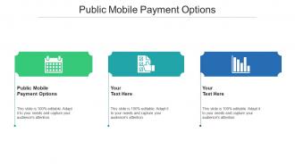 Public mobile payment options ppt powerpoint presentation infographic template display cpb
