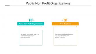 Public non profit organizations ppt powerpoint presentation example file cpb