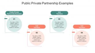 Public Private Partnership Examples In Powerpoint And Google Slides Cpb