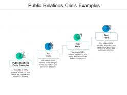 Public relations crisis examples ppt powerpoint presentation portfolio mockup cpb