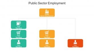Public sector employment ppt powerpoint presentation gallery grid cpb