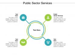 Public sector services ppt powerpoint presentation file layout cpb