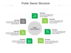 Public sector structure ppt powerpoint presentation ideas diagrams cpb