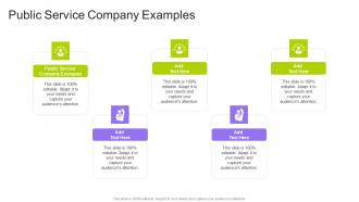 Public Service Company Examples In Powerpoint And Google Slides Cpb