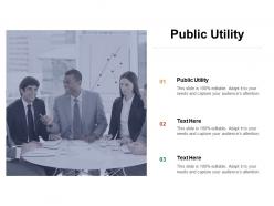 Public utility ppt powerpoint presentation portfolio show cpb