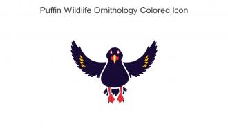 Puffin Wildlife Ornithology Colored Icon In Powerpoint Pptx Png And Editable Eps Format