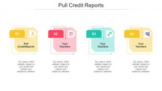 Pull Credit Reports Ppt Powerpoint Presentation Rules Cpb