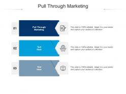 Pull through marketing ppt powerpoint presentation ideas vector cpb