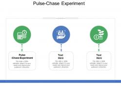 Pulse chase experiment ppt powerpoint presentation model templates cpb