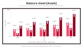 Puma Company Profile Balance Sheet Assets Ppt Brochure CP SS