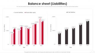 Puma Company Profile Balance Sheet Liabilities Ppt Professional CP SS