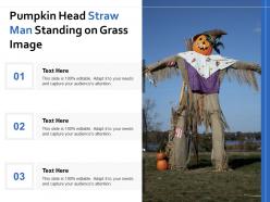 Pumpkin head straw man standing on grass image