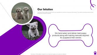 PupBox Investor Funding Elevator Pitch Deck Our Solution