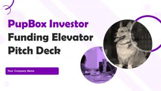 PupBox Investor Funding Elevator Pitch Deck Ppt Template