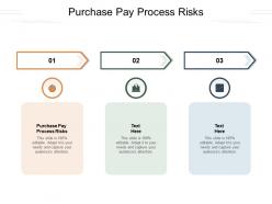 Purchase pay process risks ppt powerpoint presentation show graphics pictures cpb