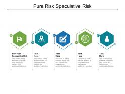 Pure risk speculative risk ppt powerpoint presentation infographics guide cpb