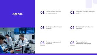 Purification Techniques For Ribosomes From Bacteria PPT Information AT Informative Images