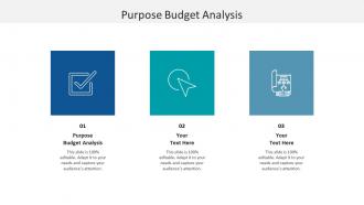 Purpose budget analysis ppt powerpoint presentation infographics show cpb