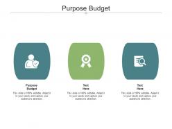 Purpose budget ppt powerpoint presentation infographics show cpb
