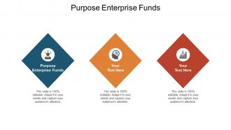 Purpose enterprise funds ppt powerpoint presentation infographic template good cpb