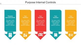 Purpose Internal Controls Ppt Powerpoint Presentation Inspiration Graphics Cpb