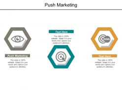 Push marketing ppt powerpoint presentation file example introduction cpb