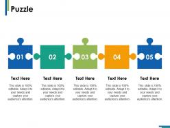 Puzzle solution ppt infographics example introduction