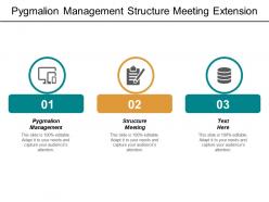 Pygmalion management structure meeting extension strategy five competitive forces cpb