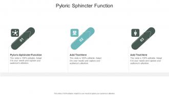 Pyloric Sphincter Function In Powerpoint And Google Slides Cpb