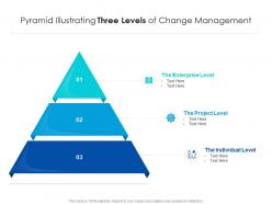Pyramid Illustrating Three Levels Of Change Management