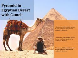 Pyramid in egyptian desert with camel