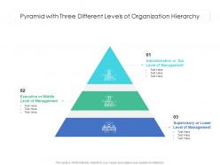 Pyramid with three different levels of organization hierarchy