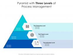 Pyramid with three levels of process management