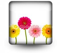 Flowers nature powerpoint icon s
