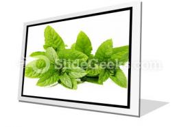 Fresh green mint leaves powerpoint icon f