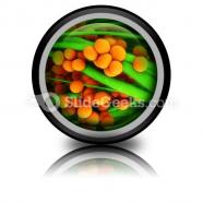Staphylococcus science powerpoint icon cc