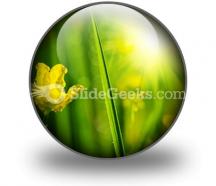 Wet meadow nature powerpoint icon c
