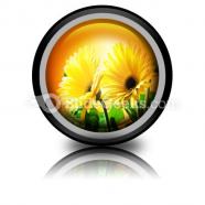 Yellow daises powerpoint icon cc