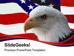 American bald eagle animals powerpoint templates and powerpoint backgrounds 0611